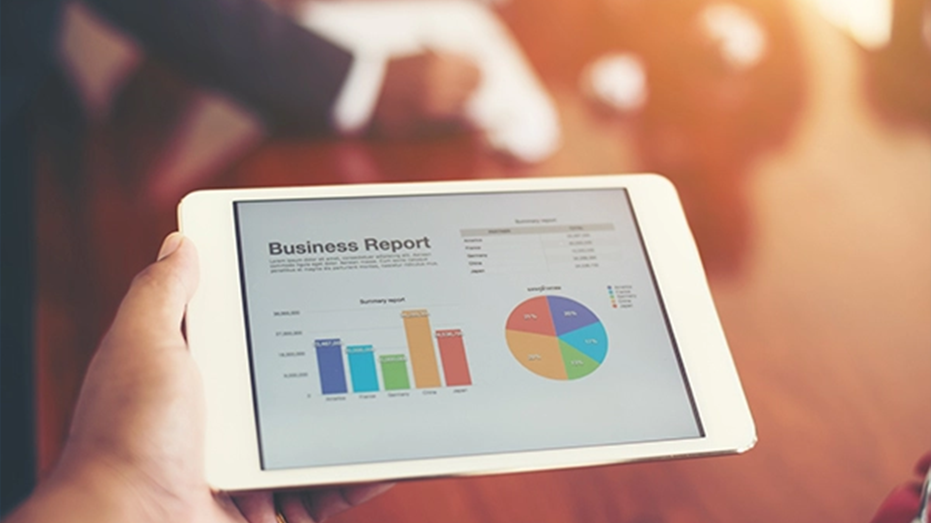 performans raporlari